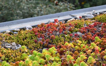 the cost of Ystradgynlais green roof installation