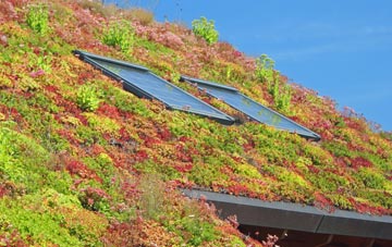 Ystradgynlais living roof systems